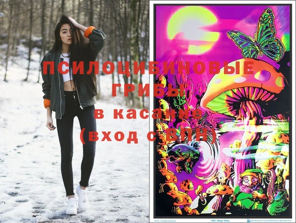 СК Абаза