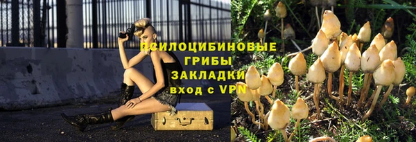 spice Абинск
