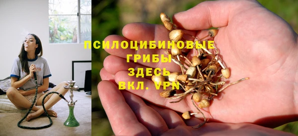 spice Абинск