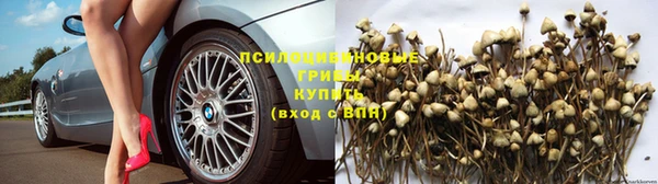 spice Абинск