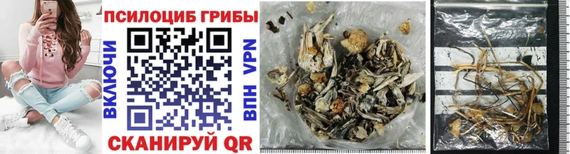 Псилоцибиновые грибы GOLDEN TEACHER  Прохладный 